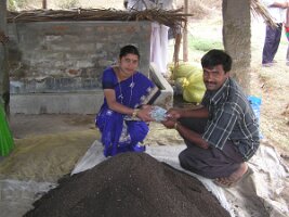 Sellingvermi-compost