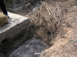 Slurry-effluent-from-biogas-plant