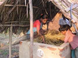 Vermi-composting-unit