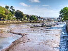 Kingsbridge-quay-tide-out